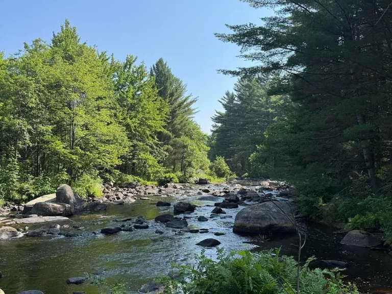 Handyman Special on the Deer River! $38,500