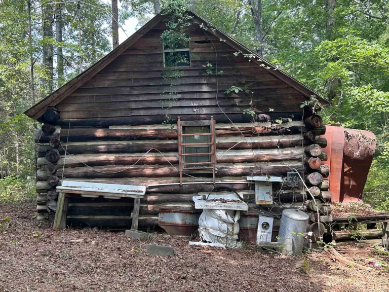 Rustic Cabin on 3 Private Acres Near Smith Lake