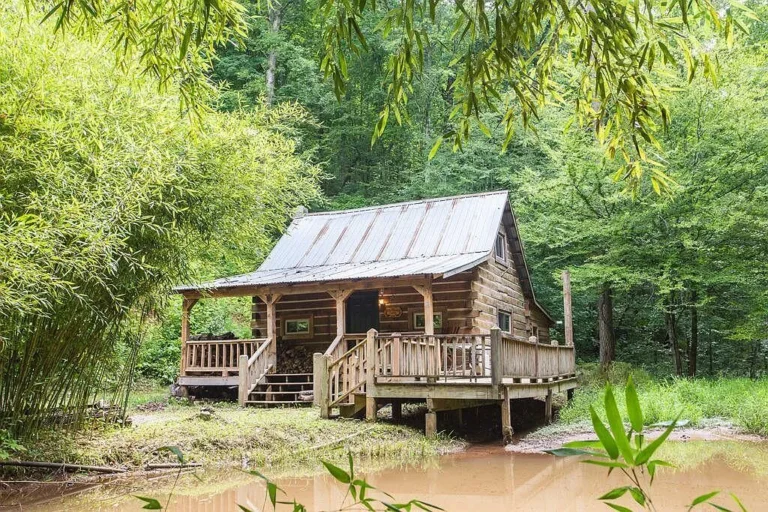 A Private Log Cabin Retreat on 5 Acres of Pure Serenity