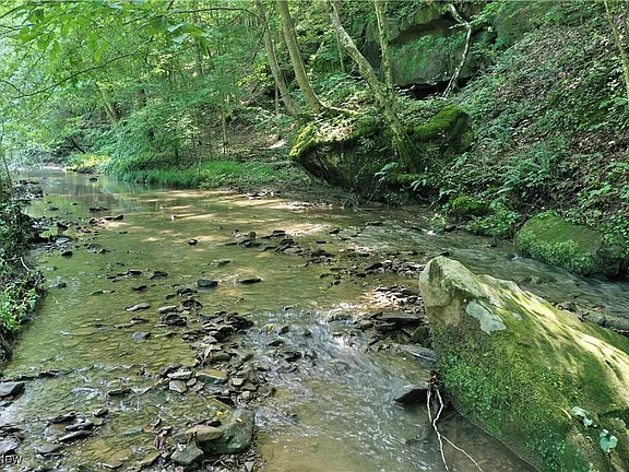 72.79 Acres of Unrestricted Hunting & Recreational Land