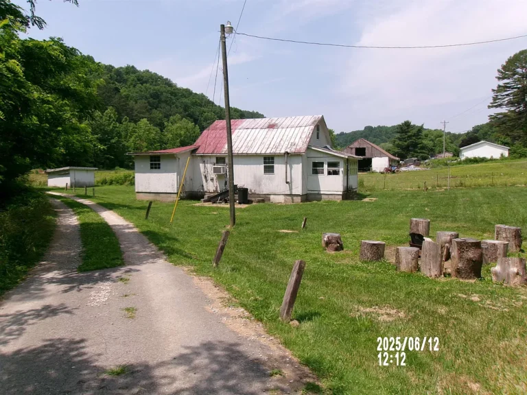 Bring Your Vision to Life